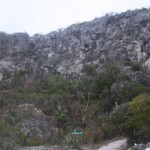 Brac dump still slated for Bluff