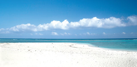 Point-of-Sand1-(Read-Only).jpg
