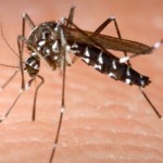 US Congress plays games over Zika