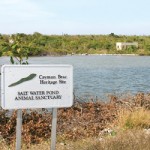 Pond may lose sanctuary status