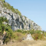 Discover the Cayman Islands