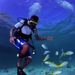 Students dive after certification