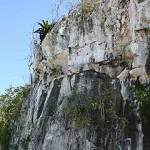 Bluff tops for homeowners