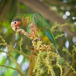 Conservation law promised again