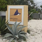 CCMI launches Women in Ocean Science programme