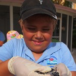 Students assist baby turtles