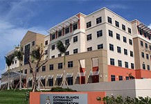 Civil service fires 16 people in 14 months