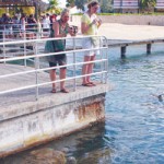 Report: Turtle Farm gets $30M over three years