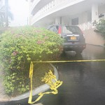 Police investigate WB Road body