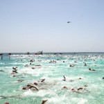 Olympians Swimmers enter Flowers Sea Swim