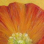 New art show opens at Full of Beans
