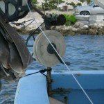 Fishing threat to Cayman’s sharks