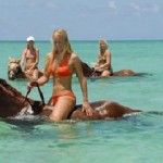 TripAdvisor bonanza for Cayman