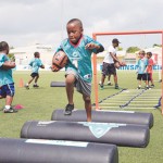 Dolphins will be back to teach us