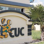 Electricity rate cut ‘premature’