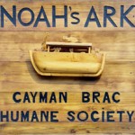 Brac animal shelter gets new look through signage