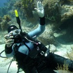 Camera lost and found after amazing ocean journey