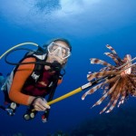 Lionfish culling program under review