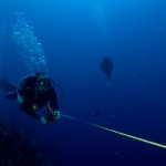 Little Cayman study shows success of lionfish culling