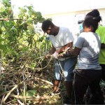 Church youth cleaning up