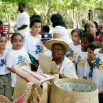 Government seeking cultural comments