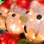 Holiday happenings