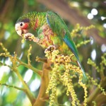 New law frees up $50M for conservation