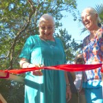 New nature boardwalk for Little Cayman