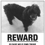 Happy ending to missing dog tale