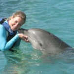 St. Matthew's vet named one of top 15 marine vet professors