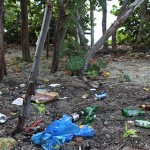 Officials warn of jail time for littering