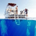 Divers say Cayman is top spot