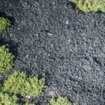 Tire tax not used for disposal