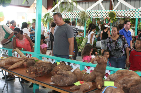 Agriculture-Show-2-S.jpg