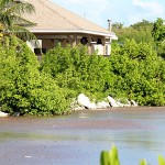 Brac planners back three marina projects