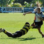 Iguanas hunt for Pigs Trotters