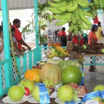 2025 Year in review: Food security moves centre stage