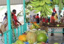 2025 Year in review: Food security moves centre stage