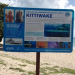 Sign of progress for Kittiwake