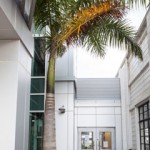 Library looking for local authors