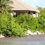 Pond excavation to keep Brac hotel open