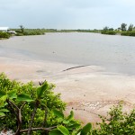 Cayman Brac ‘dying on its feet’
