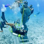 Newest dive attraction settles in