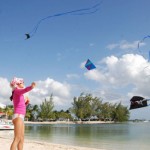 Sun, sand, and kite flying