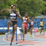 Hurdlers will get hearts leaping