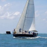 Sailing Club ready for 50th anniversary after Easter race