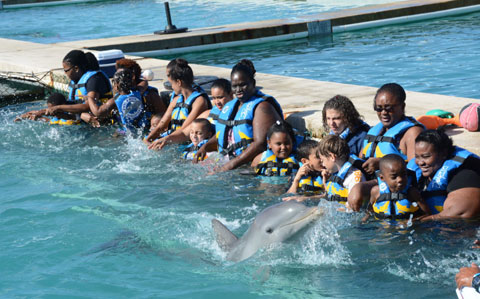 Dolphin-Therapy-S.jpg