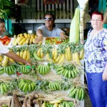 Government considers leasing East End farm land
