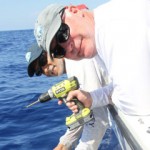 Ten sharks tagged in conservation project