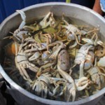 Crabbing season begins